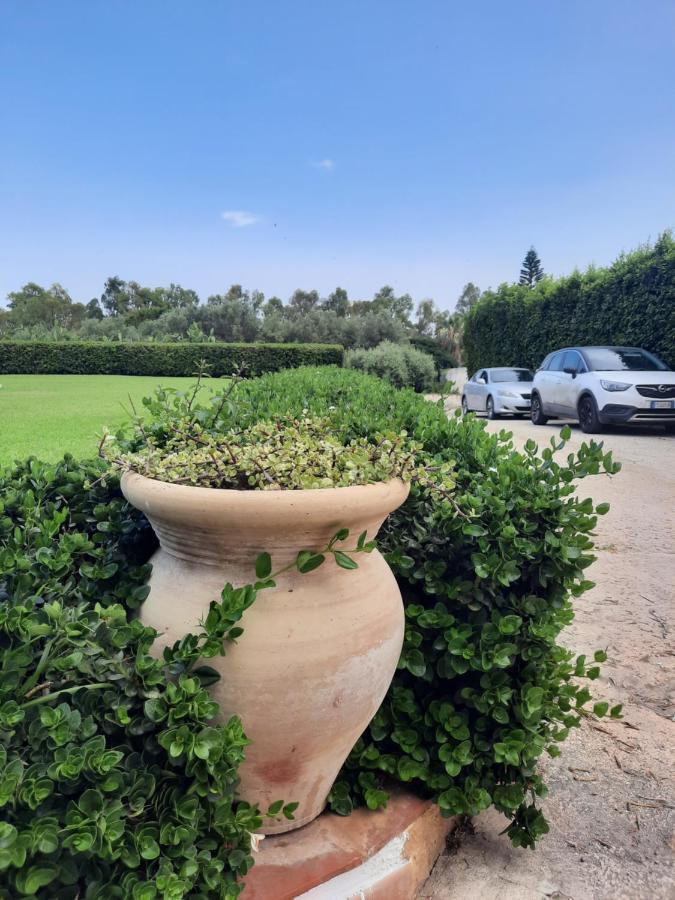 Villa Nina Fontane Bianche Ngoại thất bức ảnh